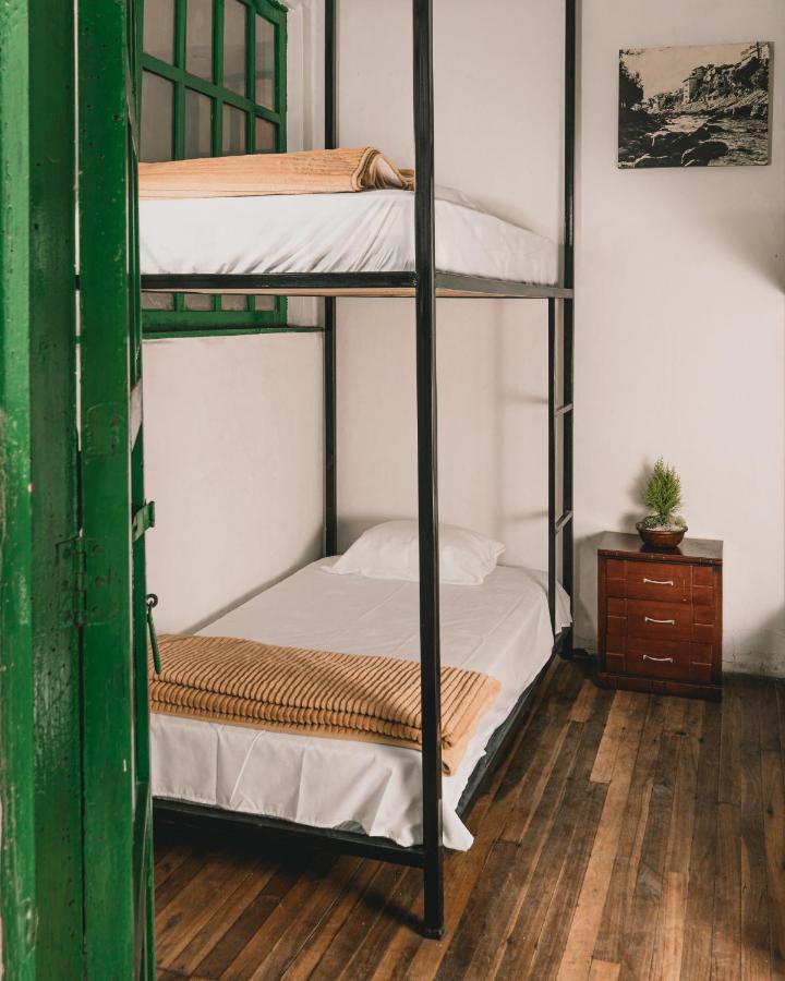 Wild Monkey Hostel