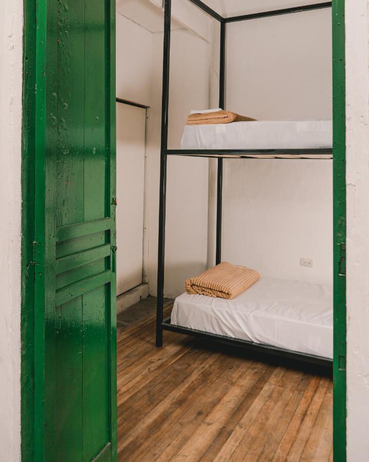 Wild Monkey Hostel
