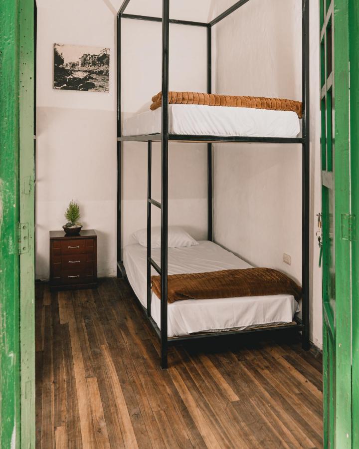 Hostel Wild Monkey *