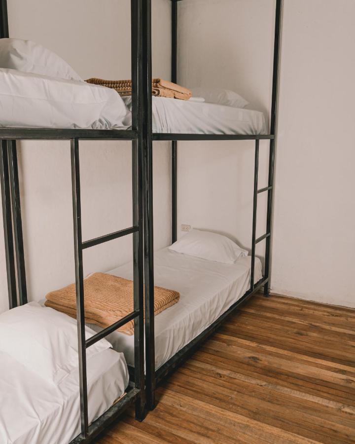 Hostel Wild Monkey Cuenca