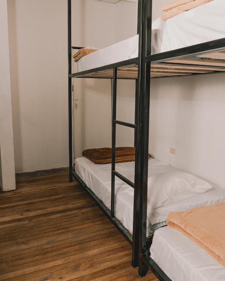 Wild Monkey Hostel